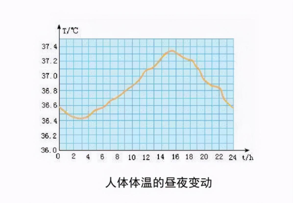 最新肺炎体温全解析，细节关注与注意事项📢