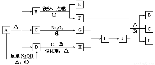 最准一码一肖100%噢,目前现象解析描述_初学版46.948