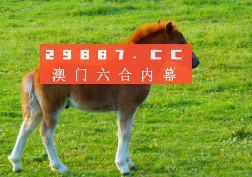 新澳门一肖一码最新消息,快速问题解答_绿色版25.349