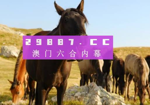 澳门管家婆一肖一码一中一开,高速应对逻辑_经典版90.388