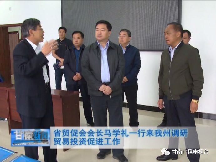 临夏州马学礼职务详解，最新职务获取指南（适用于初学者与进阶用户）