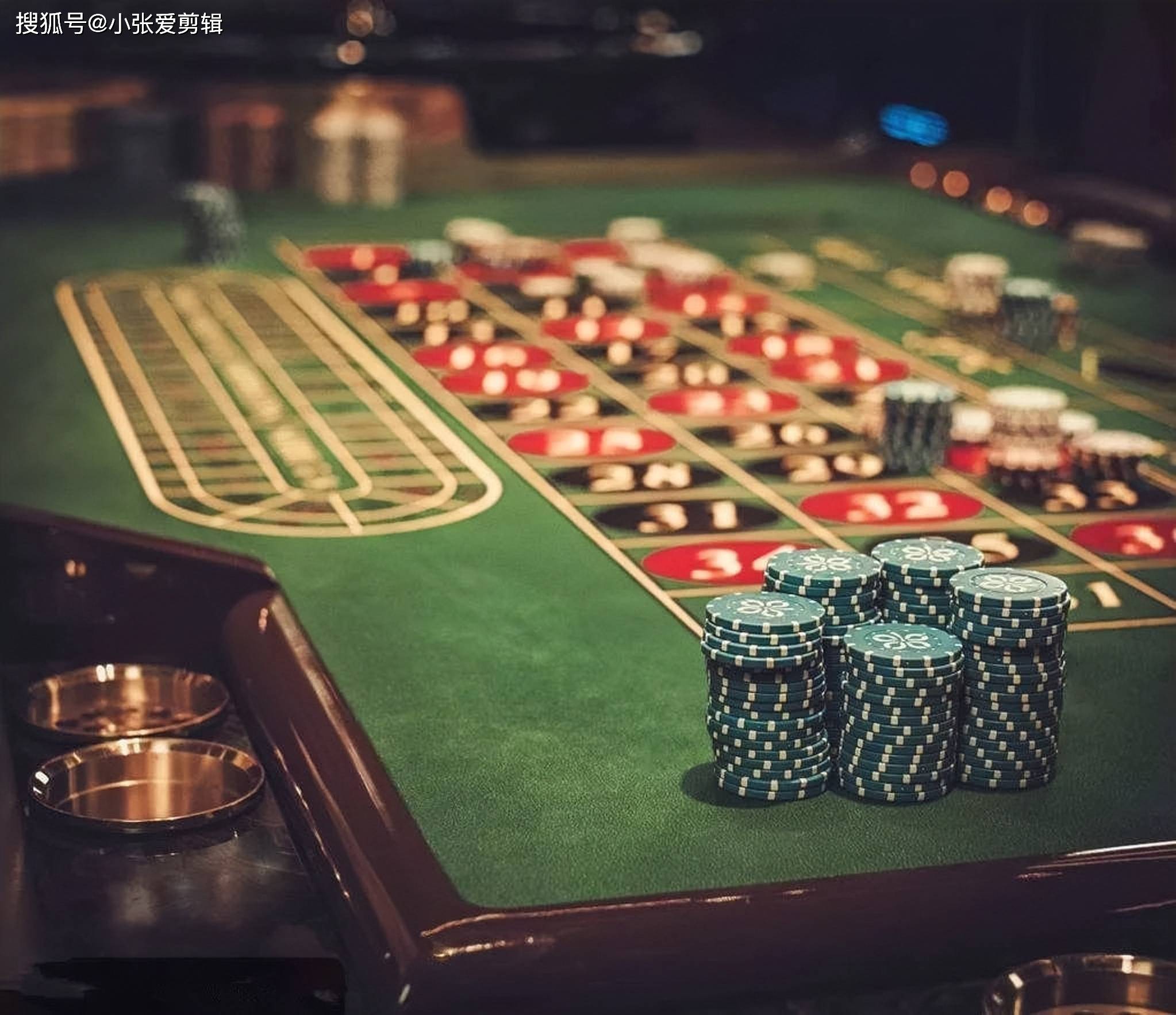 2024新澳门今晚开特马直播,农业资源与环境_便携版16.734