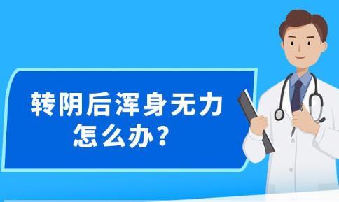 新澳精准资料免费提供网站,可靠执行操作方式_酷炫版16.847