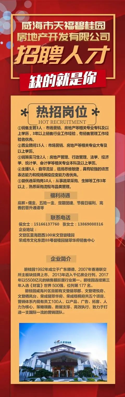 荣成招聘网最新招聘信息揭秘，热门职位火热招聘，等你来抢！