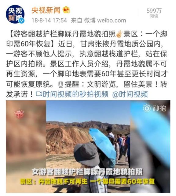 张林苍最新消息视频,张林苍最新消息视频，变化中的学习之旅，自信与成就感的源泉