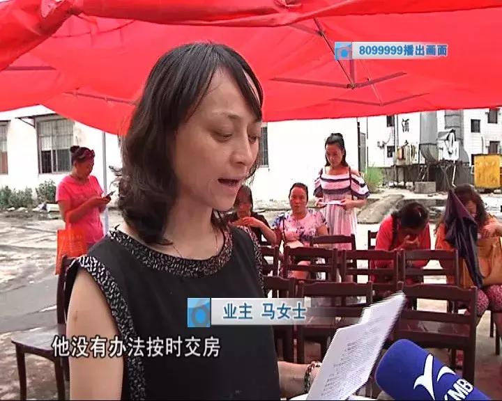 华海新天地最新动态及日常趣事与情感回顾
