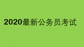 2024正版资料免费公开,快速问题处理_无限版22.894