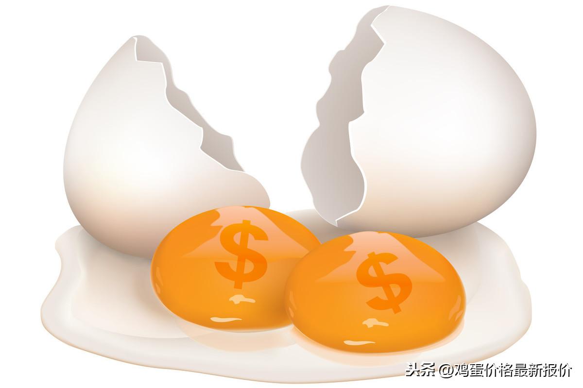 山东鸡蛋最新价格,山东鸡蛋最新价格的多元解读
