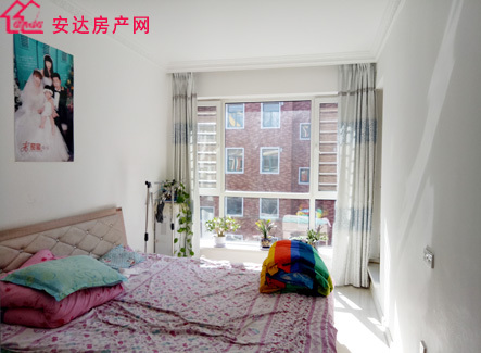 安达最新二手房急出售,实用性解读策略_升级版23.395