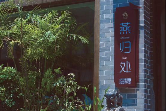 合肥市最新人事任免，探索自然美景，寻求内心宁静与平和之旅