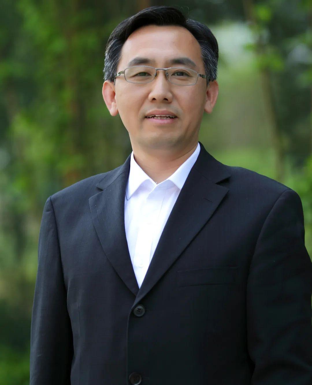 美尚生态最新动态与步骤指南