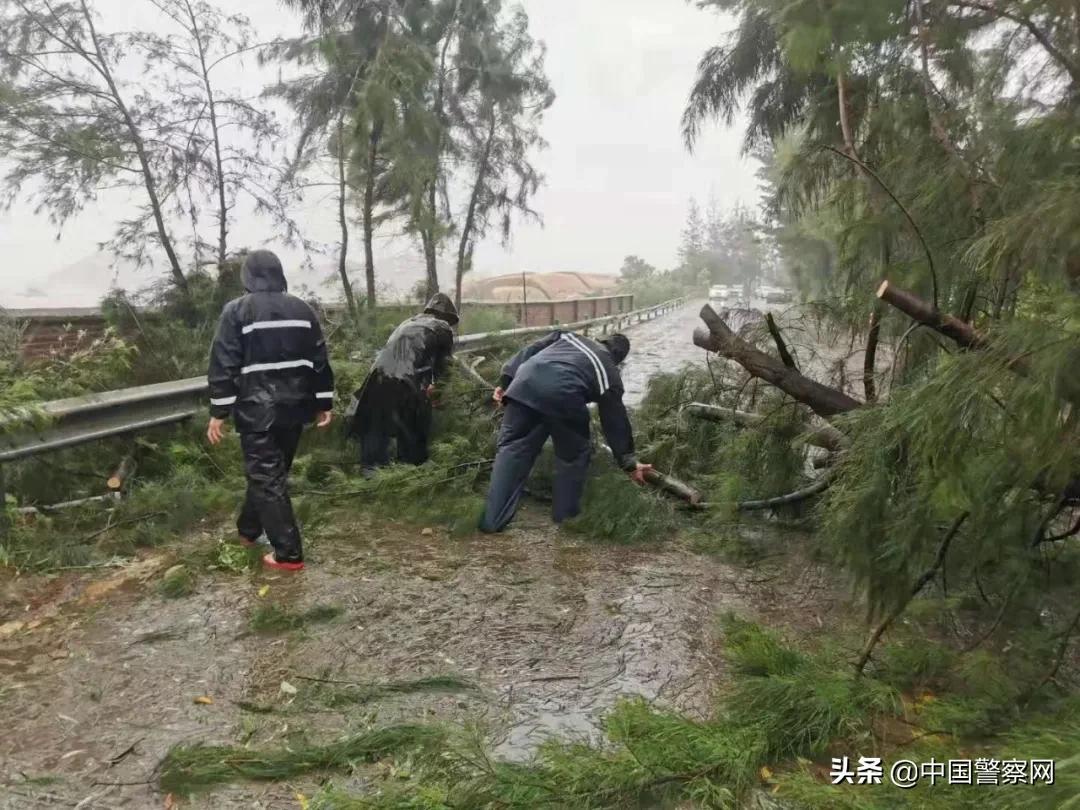 工艺美术品收藏 第219页