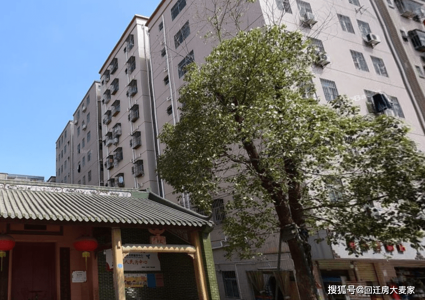 工艺美术品收藏 第218页