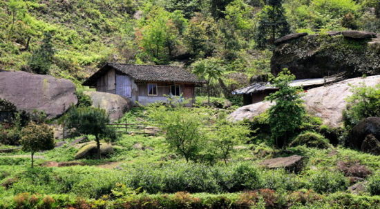 棠溪火车站最新动态，启程探索自然美景，寻觅内心宁静