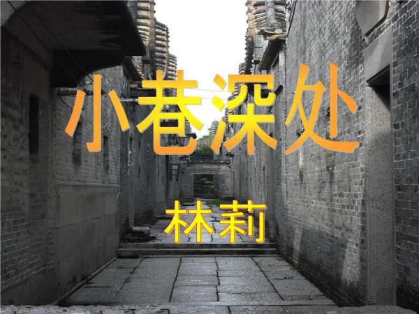 锂最新动态，小巷深处的独特锂味小店揭秘