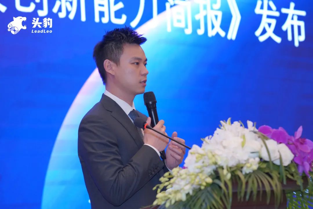谢国忠最新观点解析，经济、科技与社会发展的洞察探讨