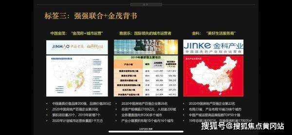 兰思思最新小说深度解读与探讨