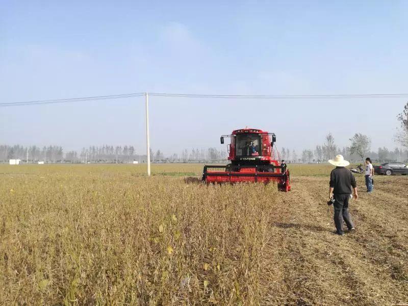 全球倾销现象深度解析，最新背景、事件与影响探讨