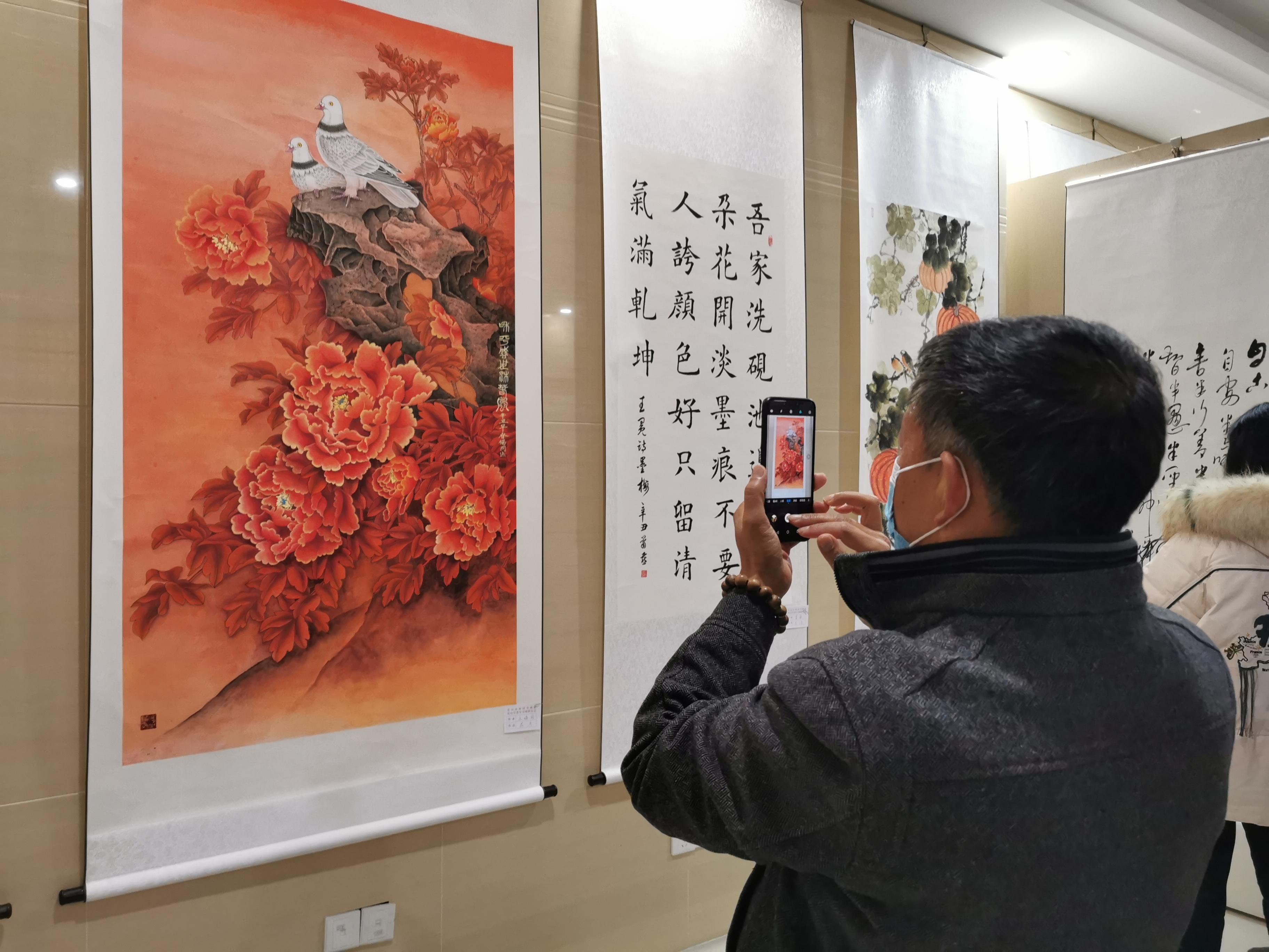 最新花鸟，自然美景的鼓舞之旅