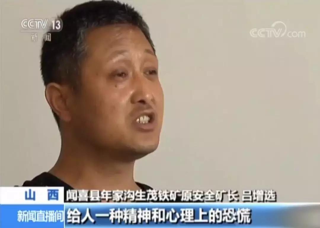 合矿股份最新动态，心灵与自然的独特交汇之旅