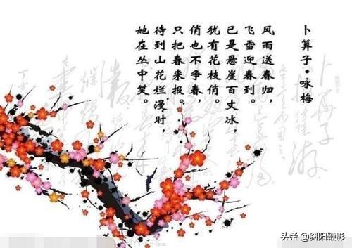 梅花诗中的文化价值，解读梅花文化及其价值