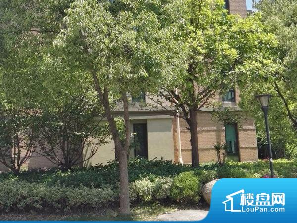 星桥桂花城最新房价指南，详解获取与理解房价的详细步骤