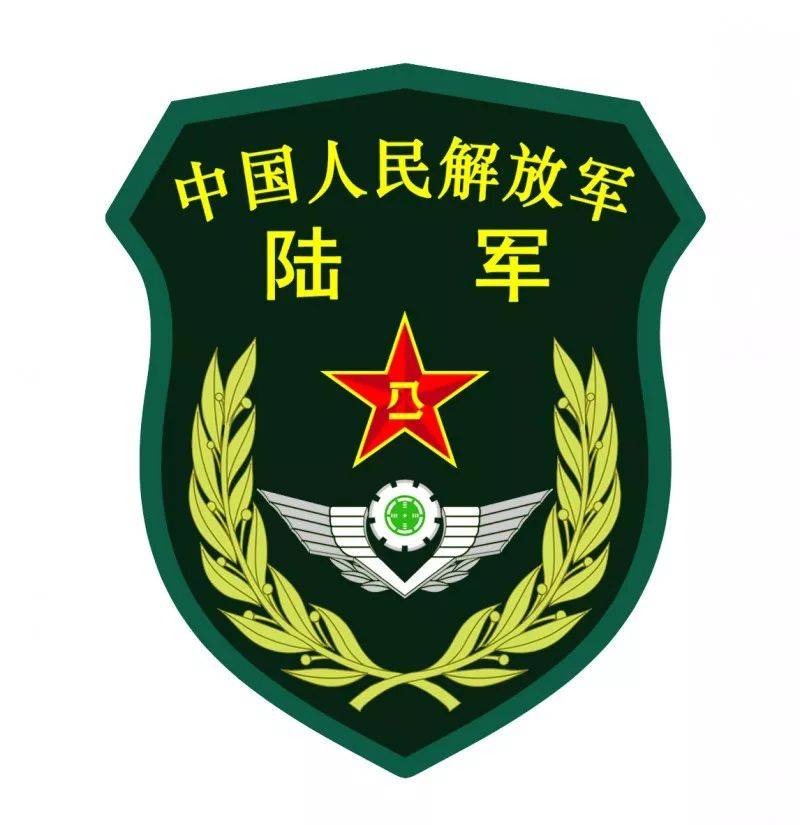 军改后省军区最新臂章，科技重塑荣耀，军事风采一览无余