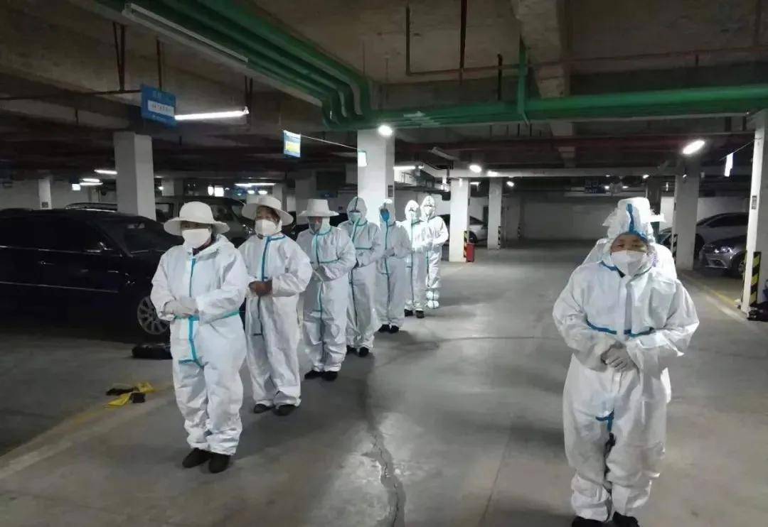 蓝光天骄三期最新动态揭秘，家的温馨与友情的绽放