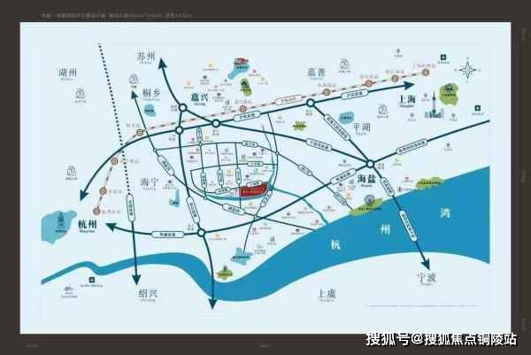 龙珠主播阿英最新视频解析与概述