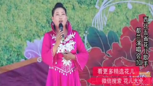 最新青海花儿直令大全汇总