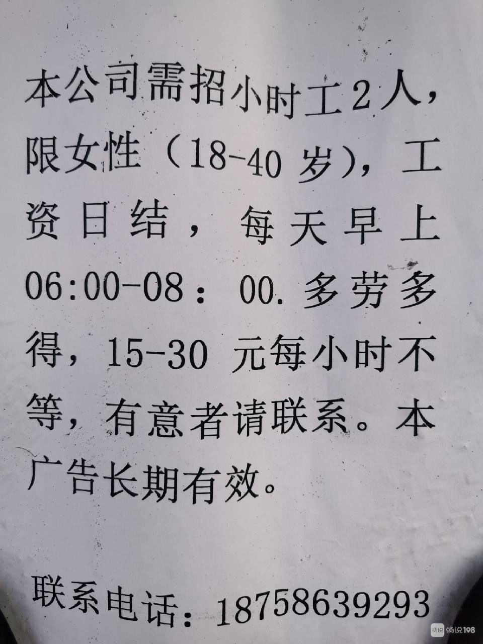 青岛临时工最新招聘，小巷中的职位宝藏