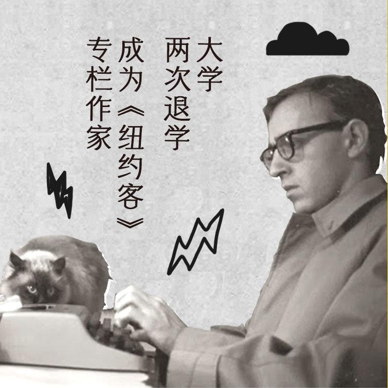 午夜十一点，最新章节观点阐述与分析