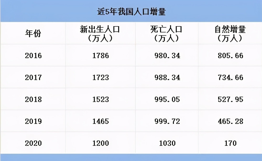 温州限牌政策最新动态，调整与市场反应关注焦点