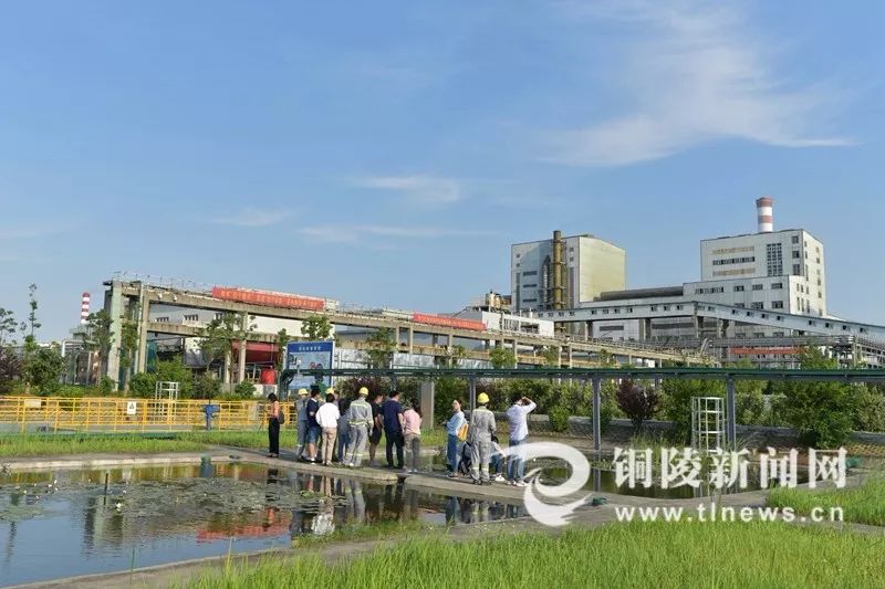 铜陵有色，时代印记领航行业，最新消息一览