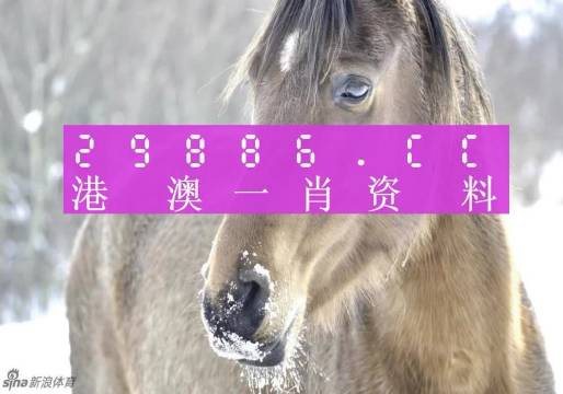 澳门一肖一码100%一中,实证分析详细枕_流线型版57.118