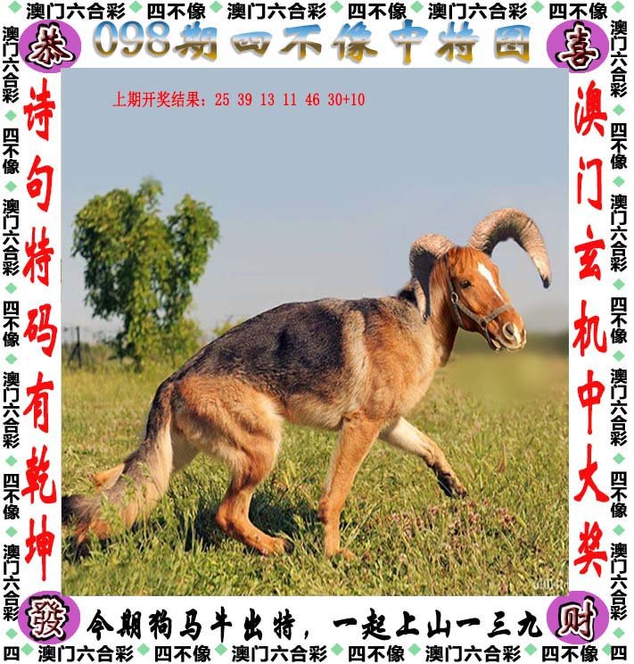 2025今晚开的四不像生肖图,科学分析解释说明_幽雅版51.753