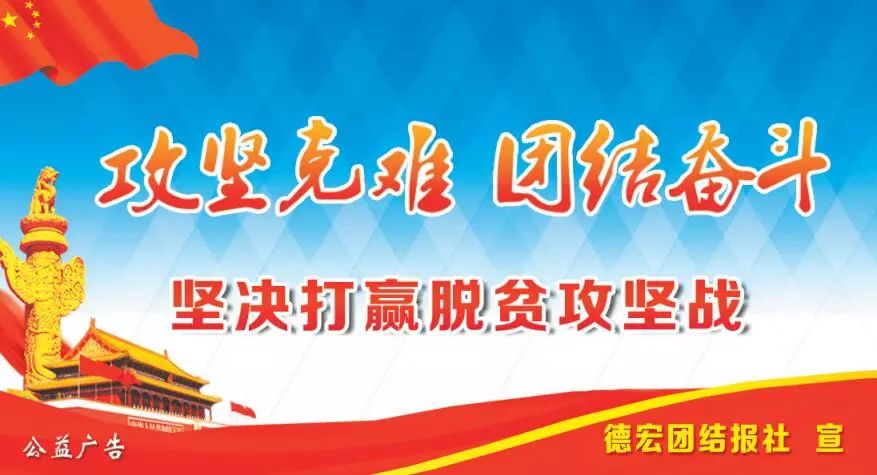 通化招聘网最新招聘，求职路上的故事与友情的盛开之花