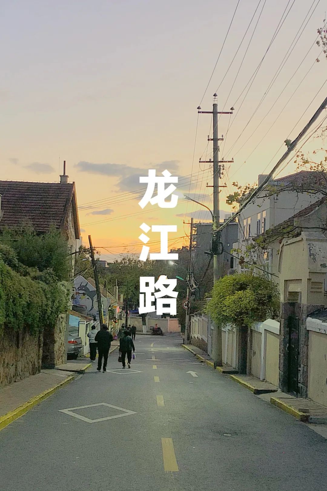 河北省最新新闻聚焦，城市小巷里的温情日常