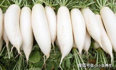 白萝卜最新价格行情与小巷深处的味觉冒险