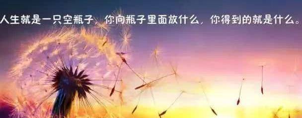 最新心灵鸡汤，滋养内心的力量源泉