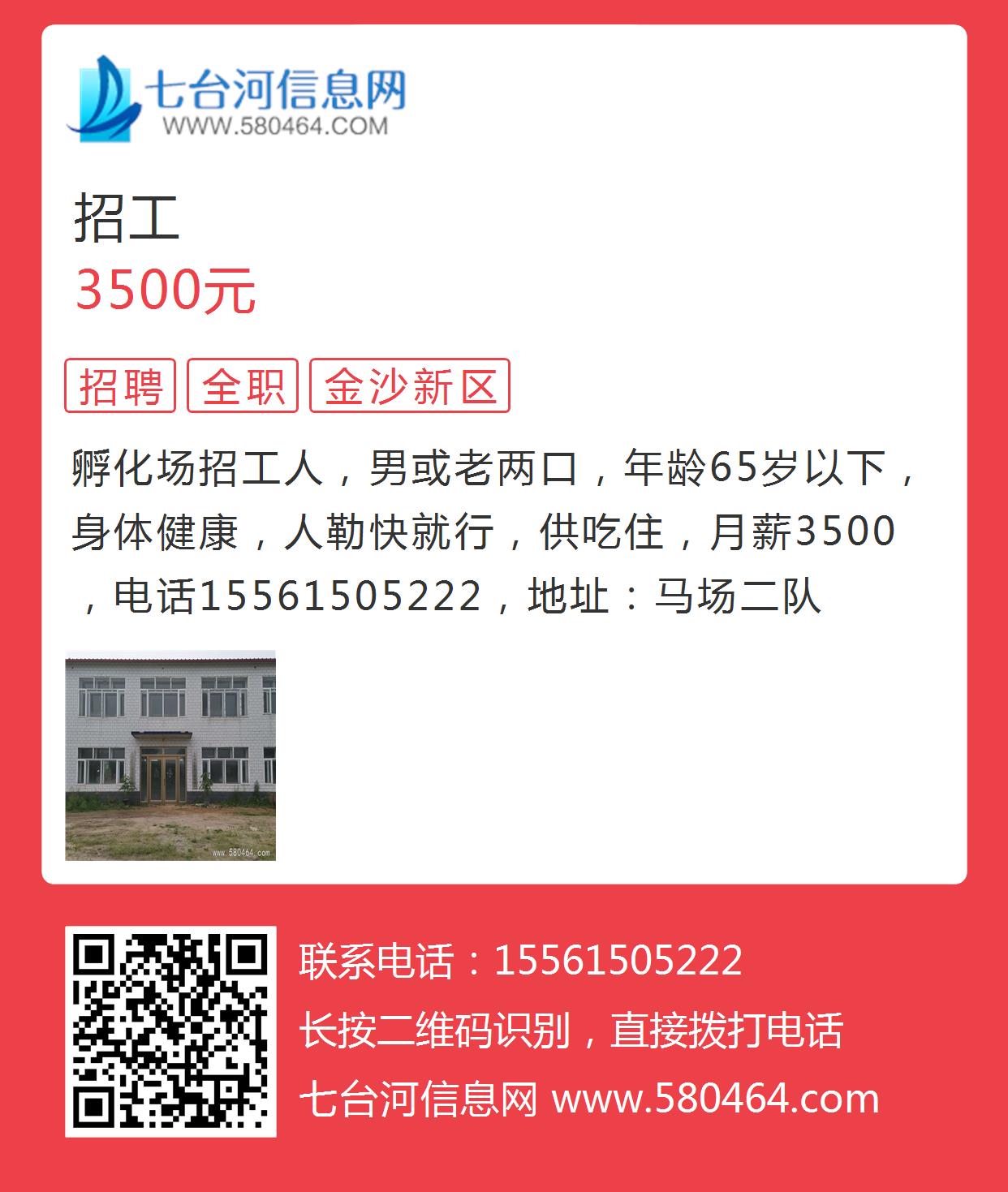 七台河最新招聘热门职位启航你的职业梦想！