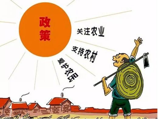 三农政策最新动态详解，最新消息与步骤指南