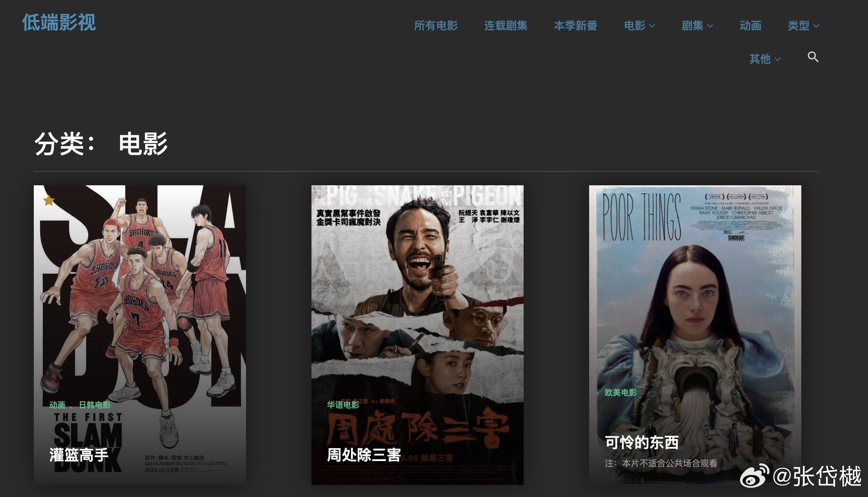 最新电影种子获取与观影指南，从初学者到进阶用户的必备指南