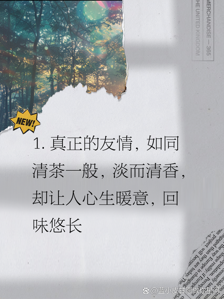 清茗学院最新日常，茶韵中的友情与爱绽放时刻