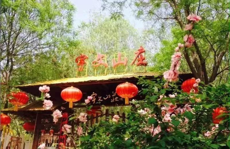 长治景家庄园最新动态揭秘，小巷深处的意外惊喜