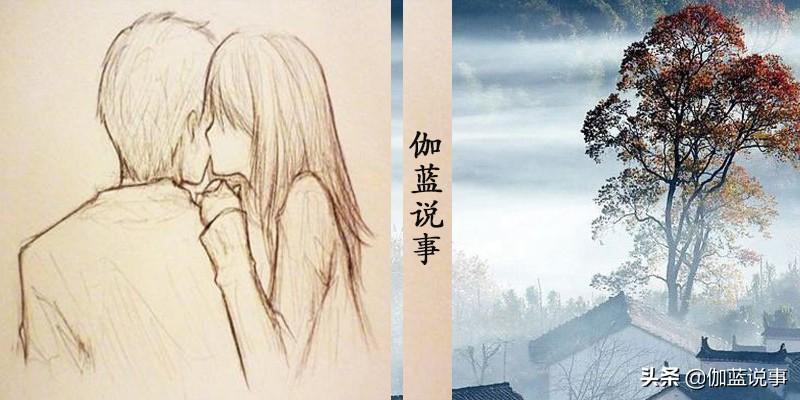 凤凰台怀愫，历史背景与现代影响的交融最新章节