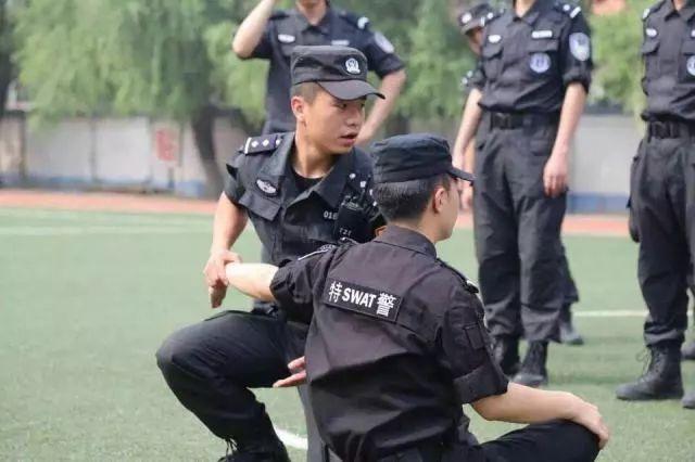最新特警剧，内心平和之旅与自然的美丽邂逅