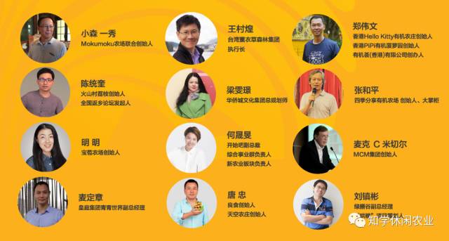 三期必出一期香港免费,实地验证实施_速成版47.995
