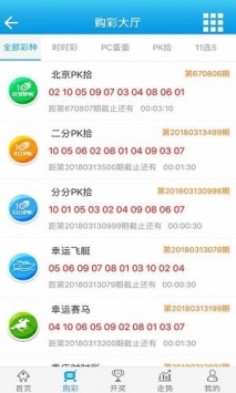 2024年王中王澳门免费大全,精细评估方案_外观版18.303