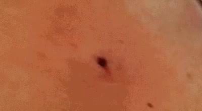 最新黑头视频现象，影响与地位深度探讨